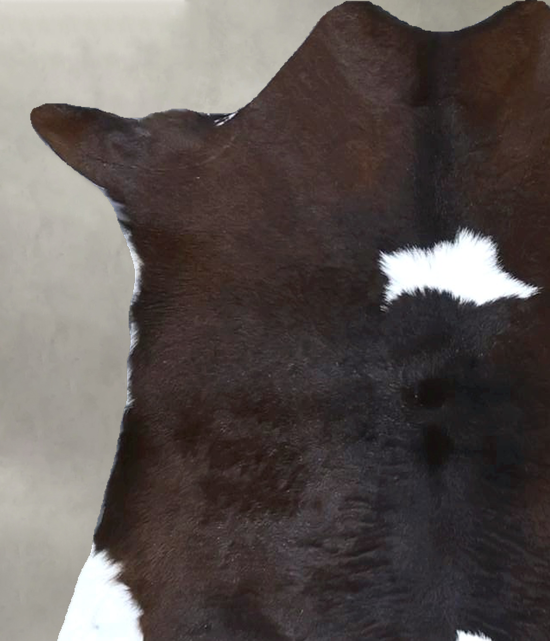 Calfhide Approx 2'x3' #B21657 by Hudson Hides