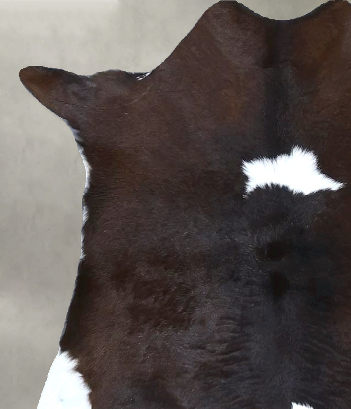 Calfhide Approx 2'x3' #B21657 by Hudson Hides