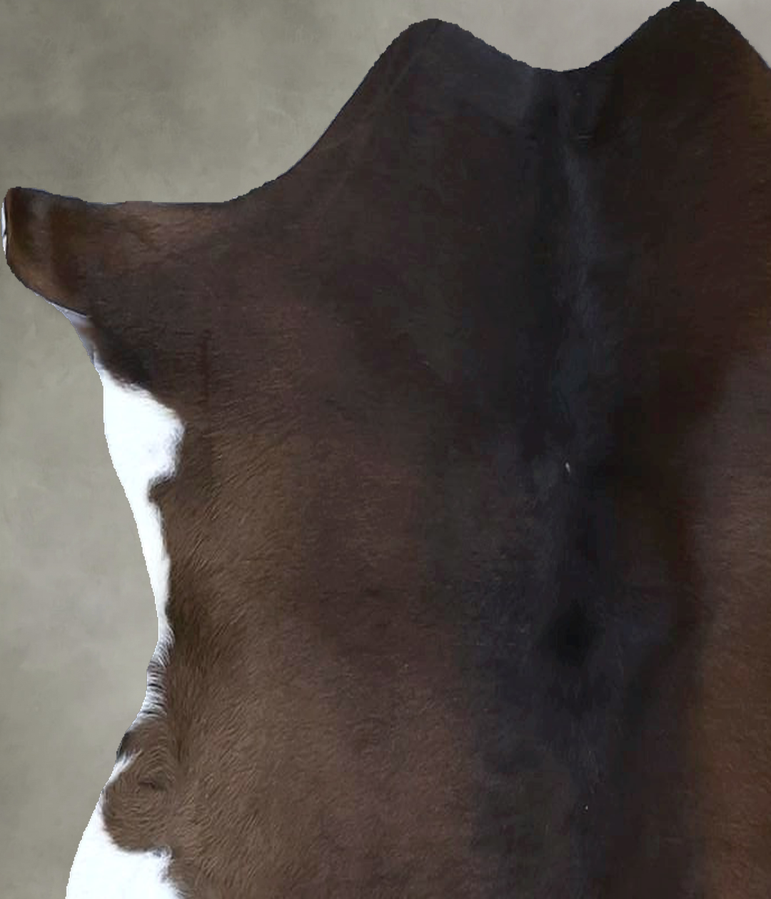 Calfhide Approx 2'x3' #B21658 by Hudson Hides