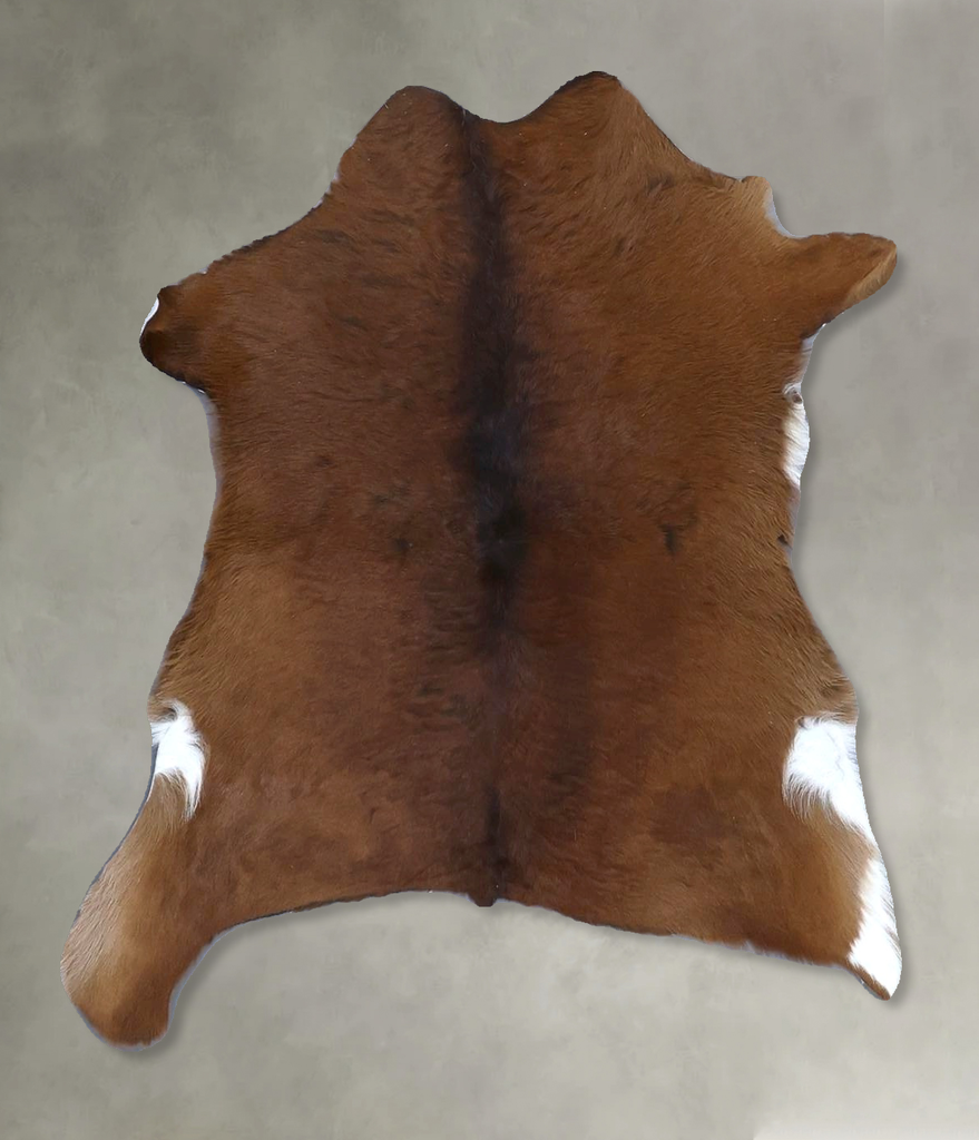 Calfhide Approx 2'x3' #B21659 by Hudson Hides