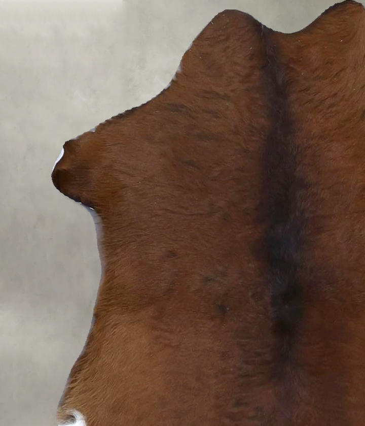 Calfhide Approx 2'x3' #B21659 by Hudson Hides