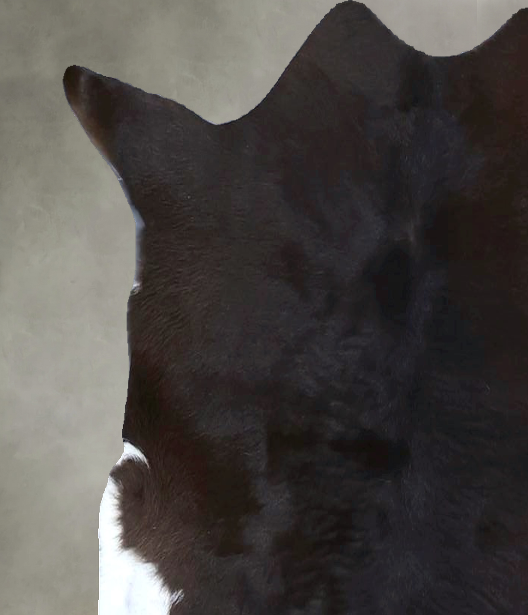 Calfhide Approx 2'x3' #B21660 by Hudson Hides