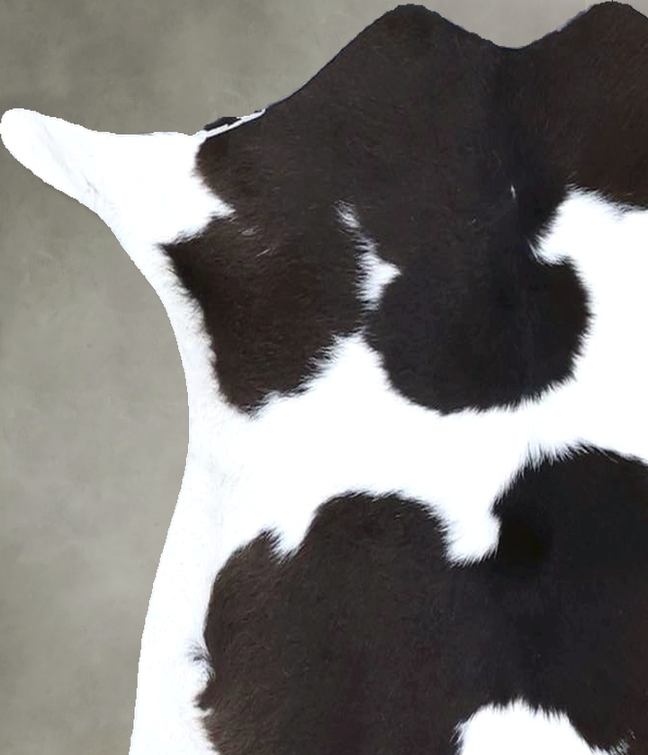 Calfhide Approx 2'x3' #B21666 by Hudson Hides