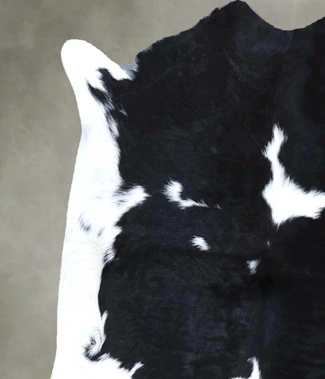 Calfhide Approx 2'x3' #B21667 by Hudson Hides