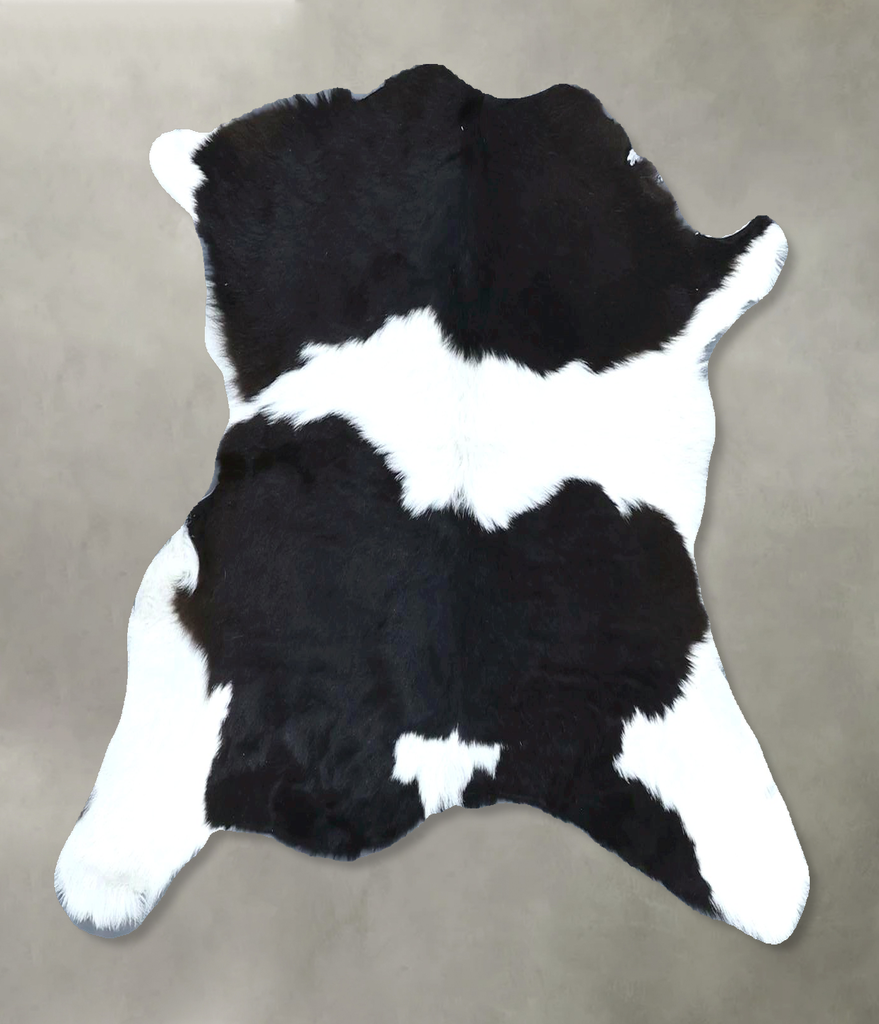 Calfhide Approx 2'x3' #B21670 by Hudson Hides