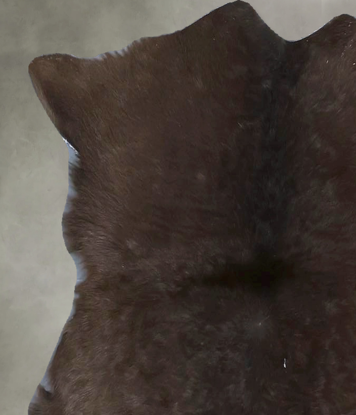 Calfhide Approx 2'x3' #B21671 by Hudson Hides