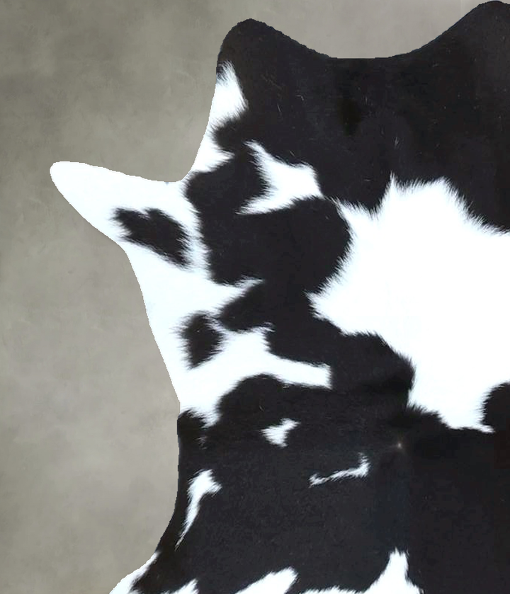 Calfhide Approx 2'x3' #B21677 by Hudson Hides