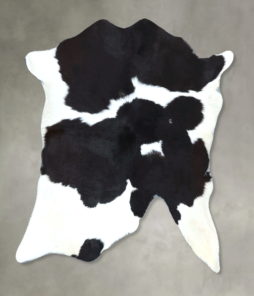 Calfhide Approx 2'x3' #B21680 by Hudson Hides