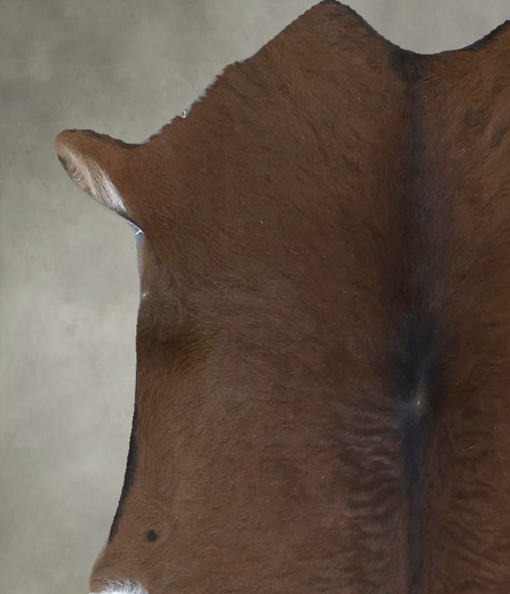 Calfhide Approx 2'x3' #B21683 by Hudson Hides