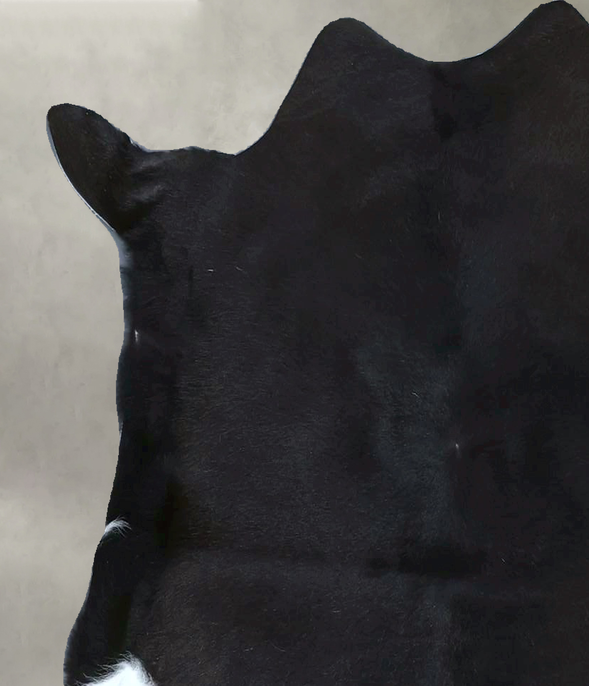 Calfhide Approx 2'x3' #B21688 by Hudson Hides