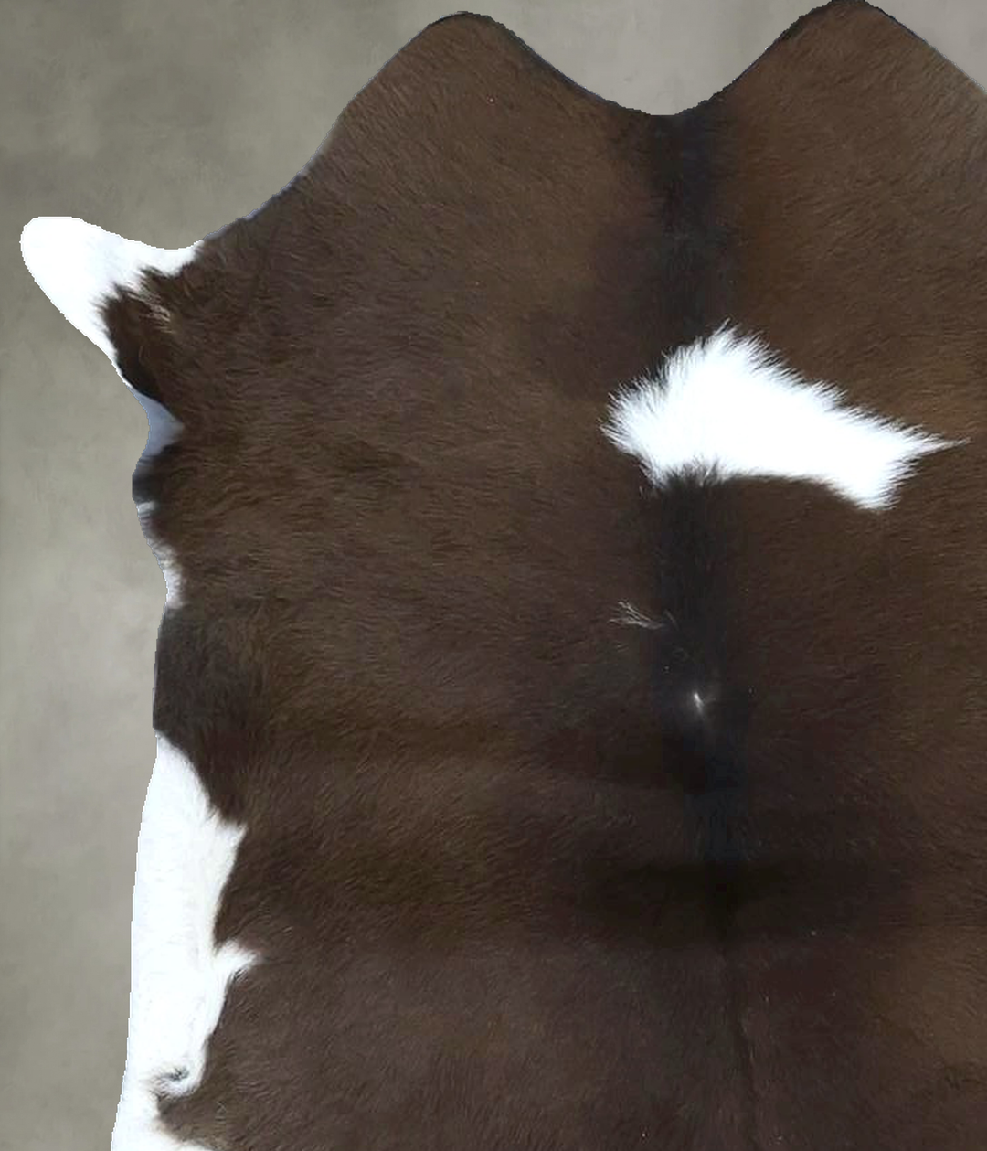 Calfhide Approx 2'x3' #B21698 by Hudson Hides