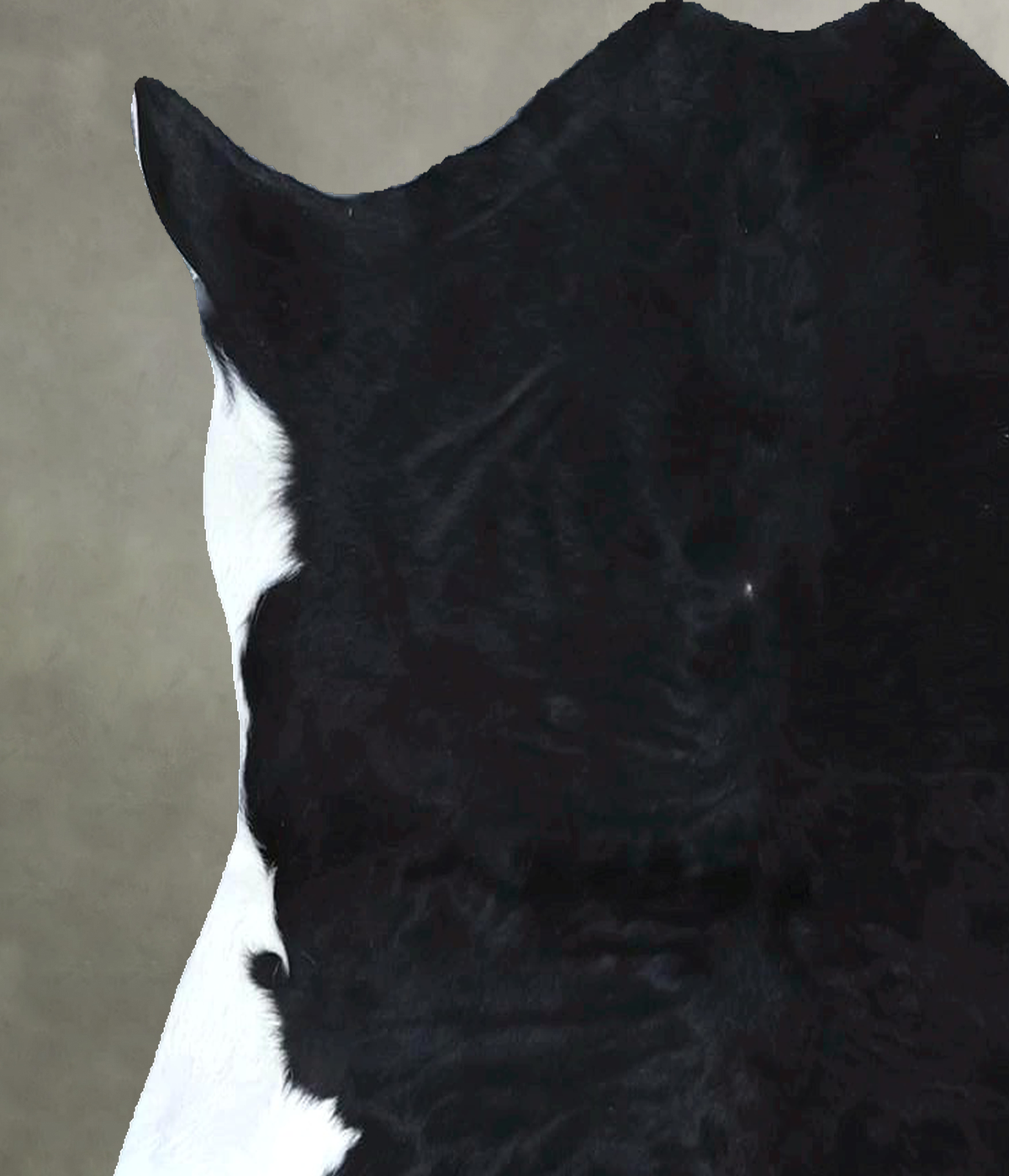 Calfhide Rug #B21702