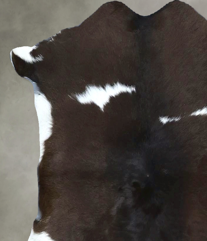 Calfhide Approx 2'x3' #B21703 by Hudson Hides