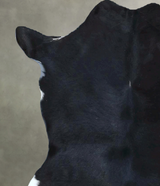 Calfhide Approx 2'x3' #B21704 by Hudson Hides