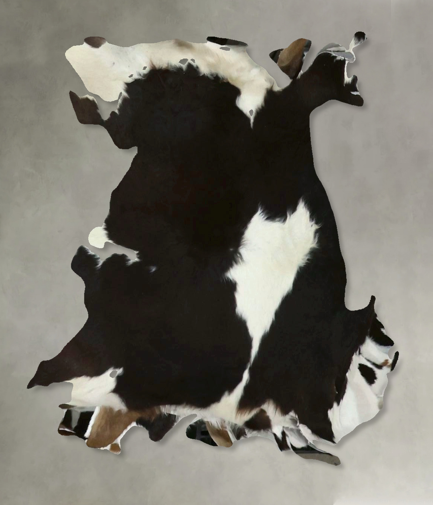 Calfhide Approx 2'x3' #B21706 by Hudson Hides