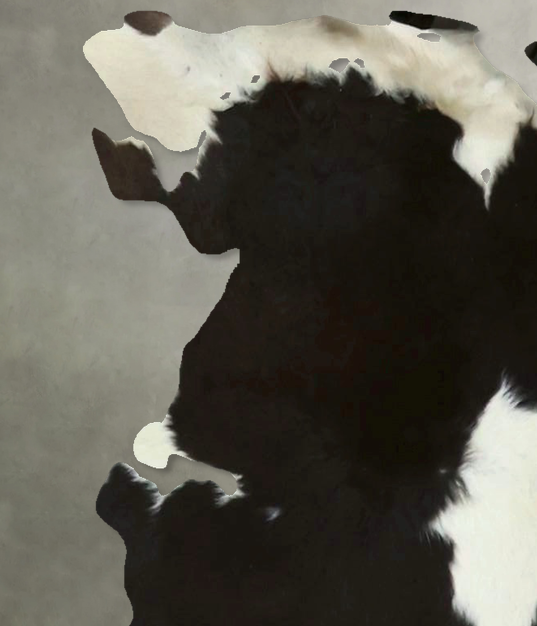 Calfhide Approx 2'x3' #B21706 by Hudson Hides