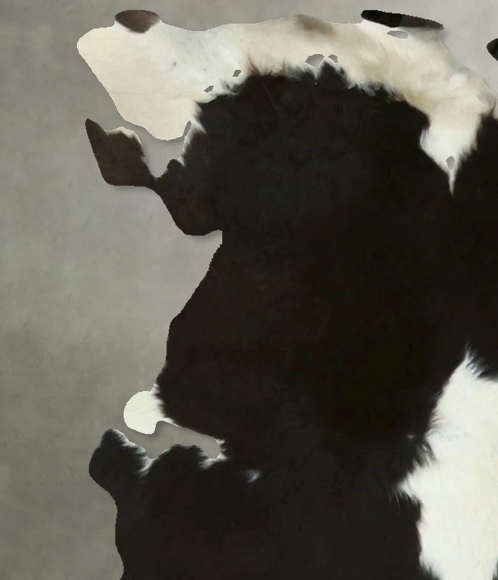 Calfhide Approx 2'x3' #B21706 by Hudson Hides