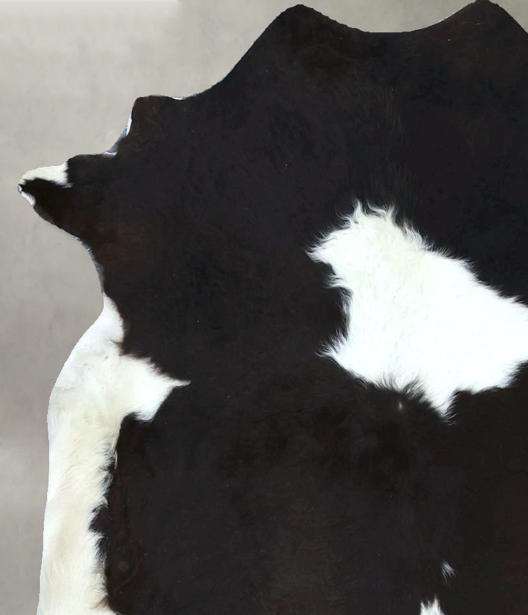 Calfhide Approx 2'x3' #B21707 by Hudson Hides