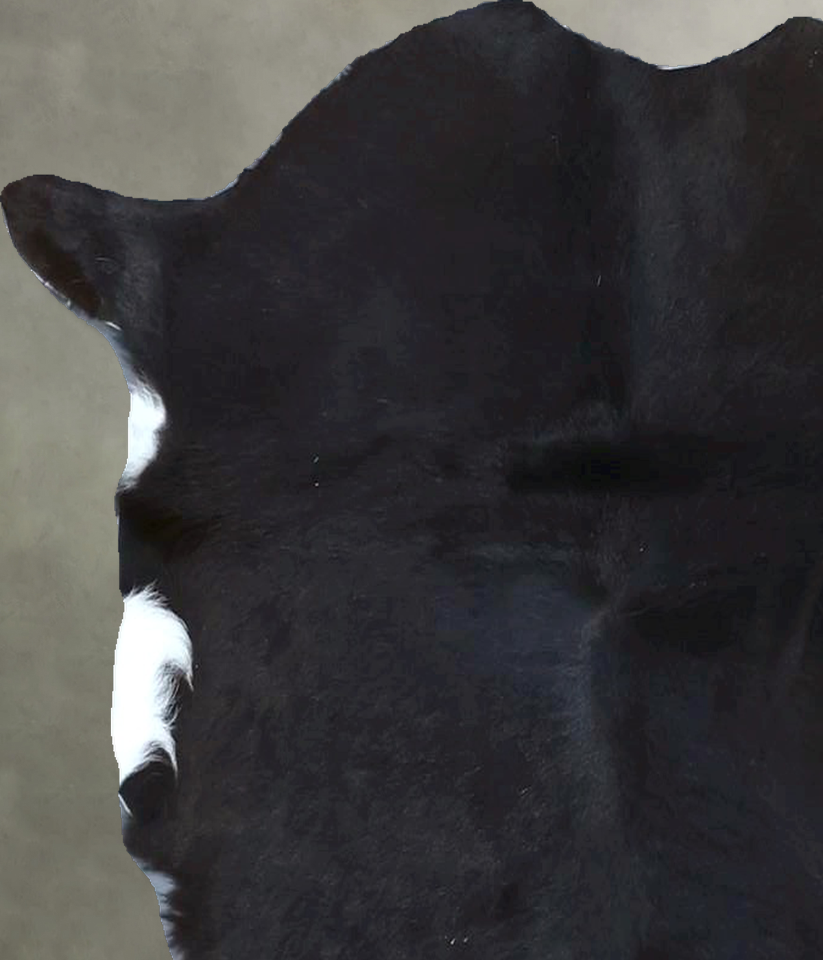 Calfhide Rug #B21726