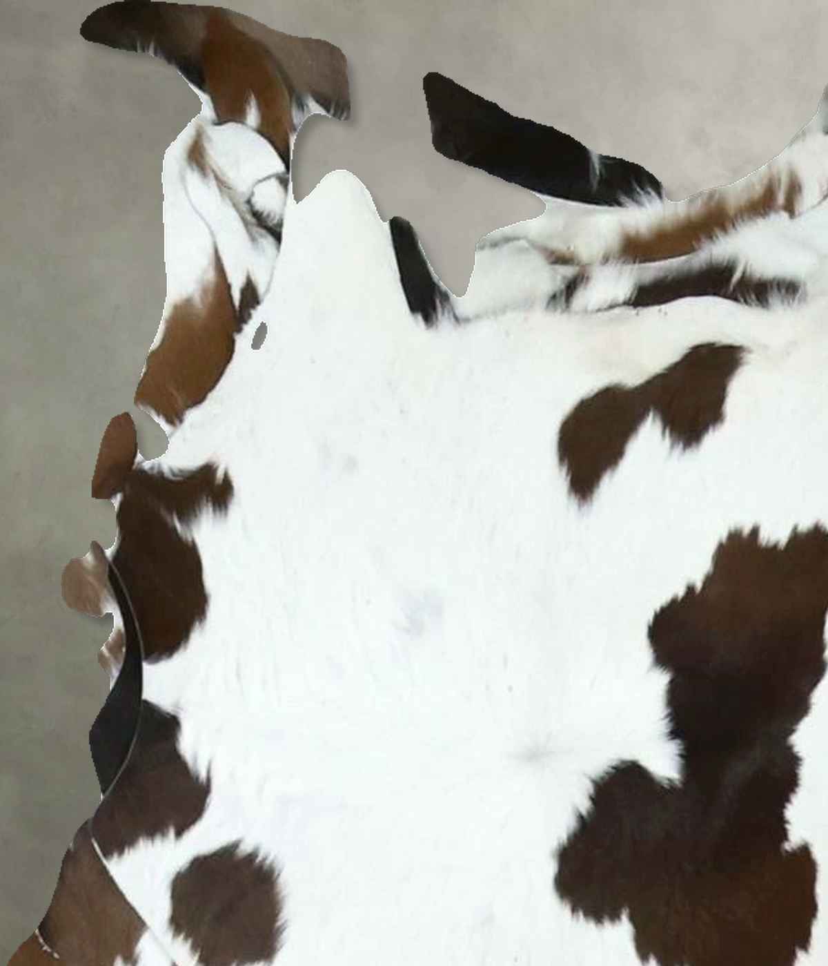Calfhide Rug #B21728