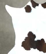 Calfhide Approx 2'x3' #B21729 by Hudson Hides