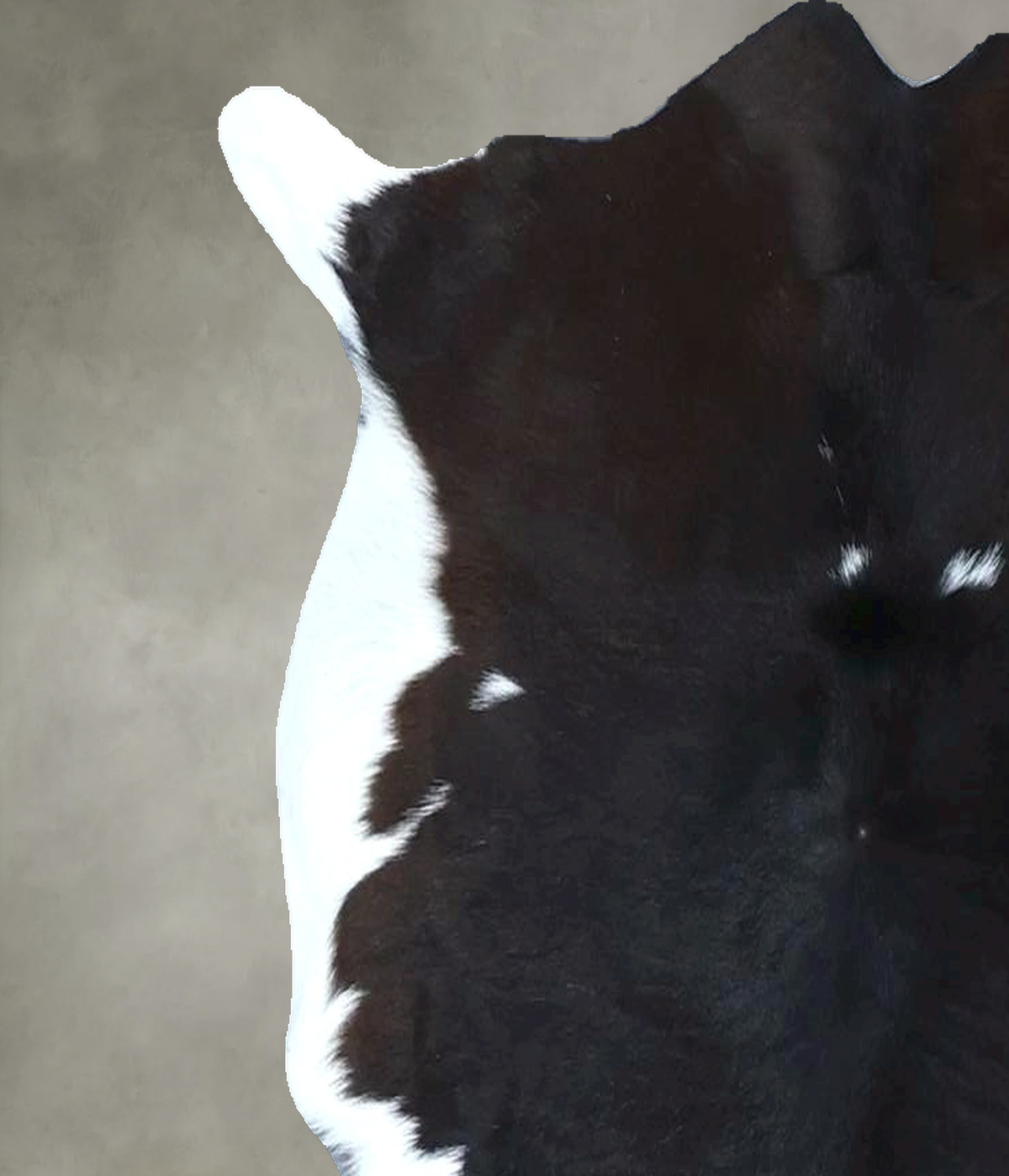 Calfhide Rug #B21730
