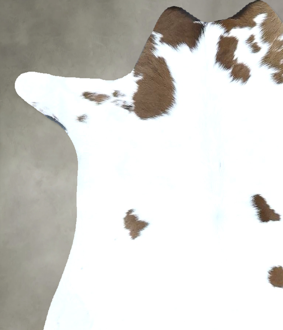 Calfhide Approx 2'x3' #B21732 by Hudson Hides