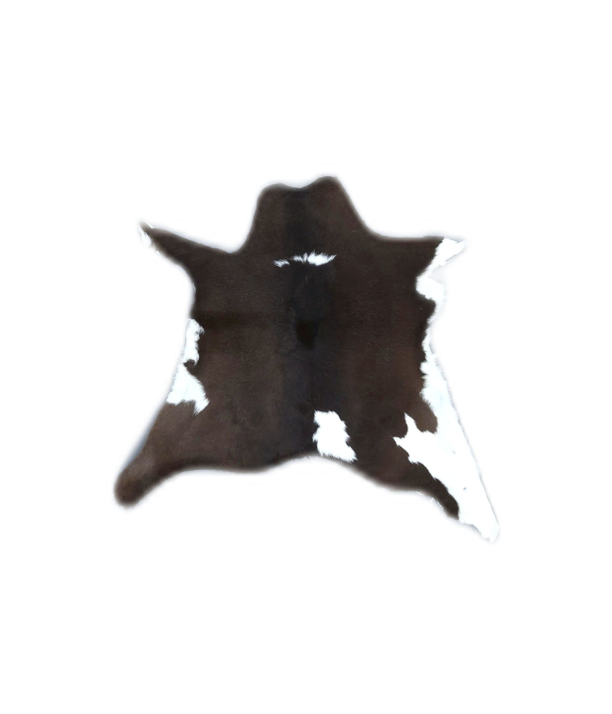 Calfhide Approx 2'x3' #B21739 by Hudson Hides