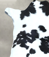 Calfhide Approx 2'x3' #B21759 by Hudson Hides