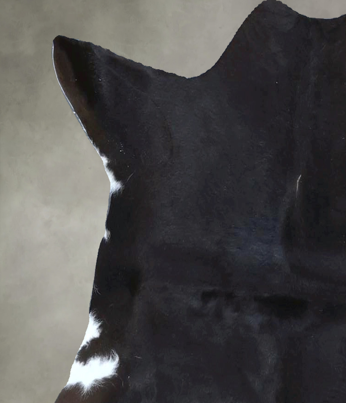 Calfhide Approx 2'x3' #B21775 by Hudson Hides