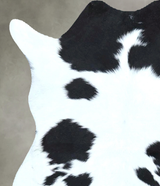 Calfhide Approx 2'x3' #B21777 by Hudson Hides