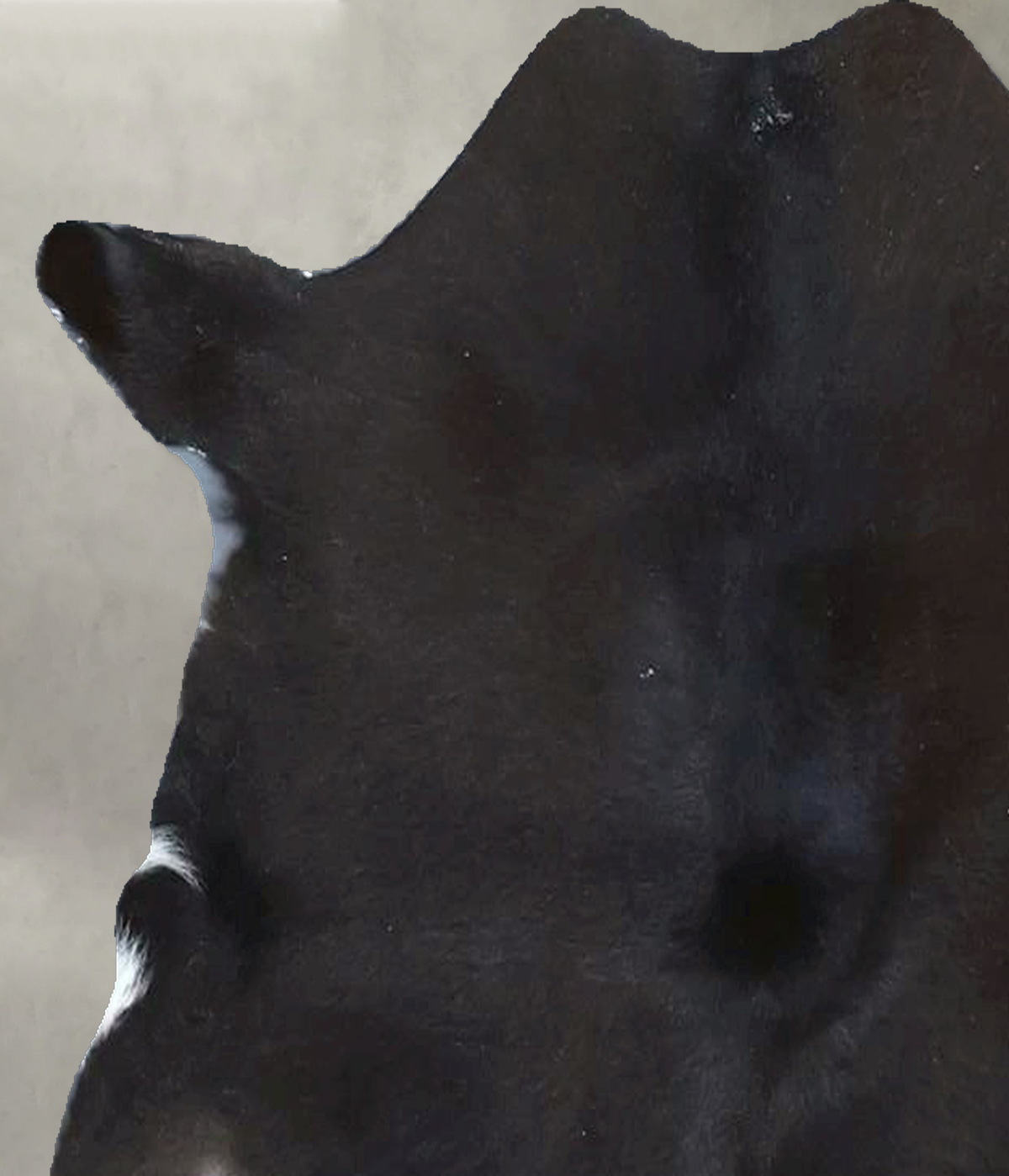 Calfhide Rug #B21779