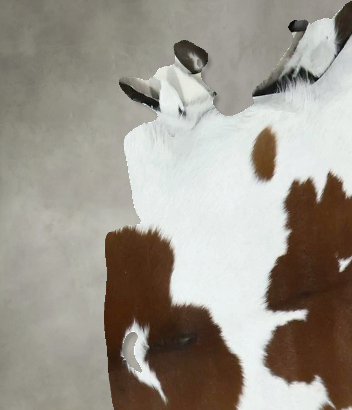 Calfhide Approx 2'x3' #B21787 by Hudson Hides