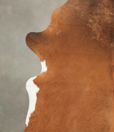 Brown and White Regular XX-Large Brazilian Cowhide Rug 7'8"H x 6'10"W #B2180 by Hudson Hides