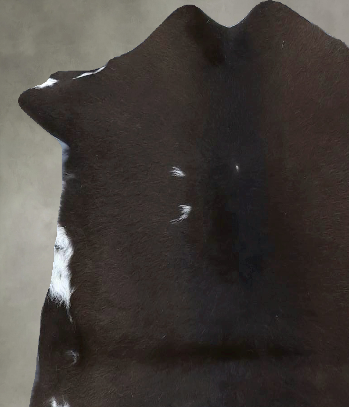 Calfhide Approx 2'x3' #B21802 by Hudson Hides