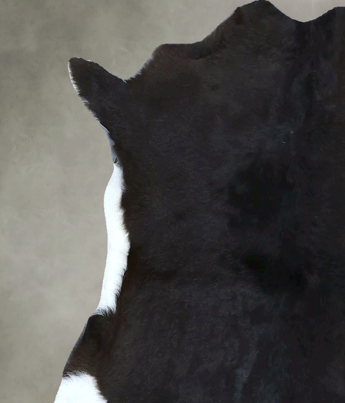 Calfhide Approx 2'x3' #B21820 by Hudson Hides