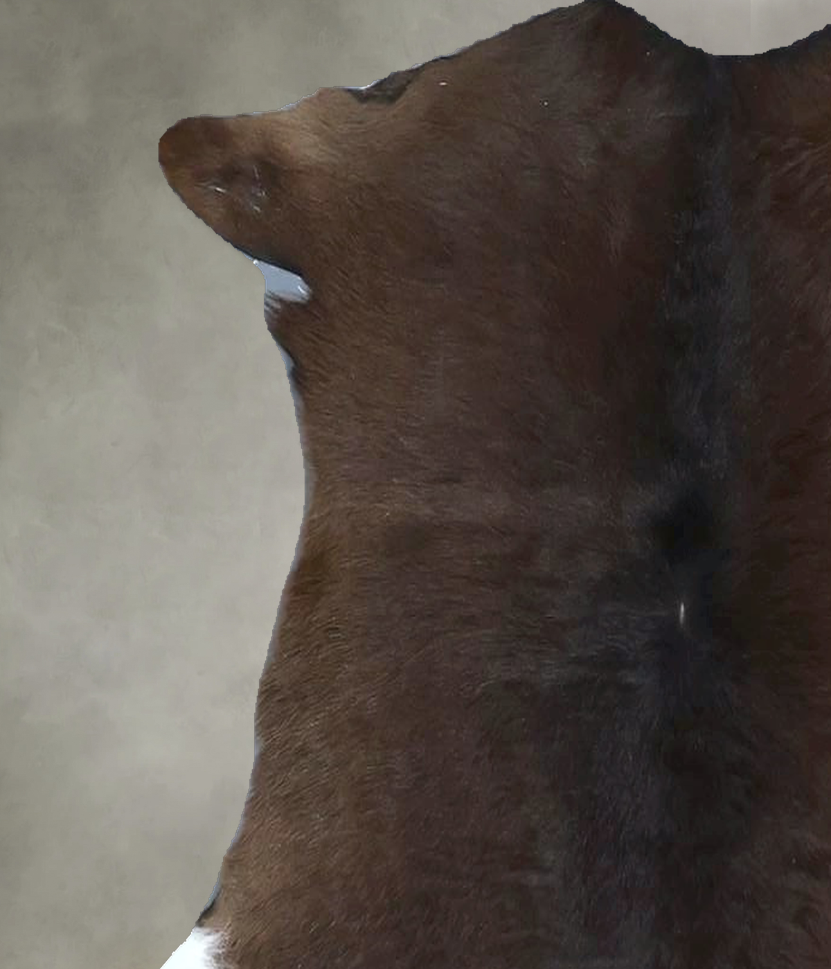 Calfhide Approx 2'x3' #B21821 by Hudson Hides