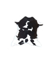 Calfhide Approx 2'x3' #B21830 by Hudson Hides