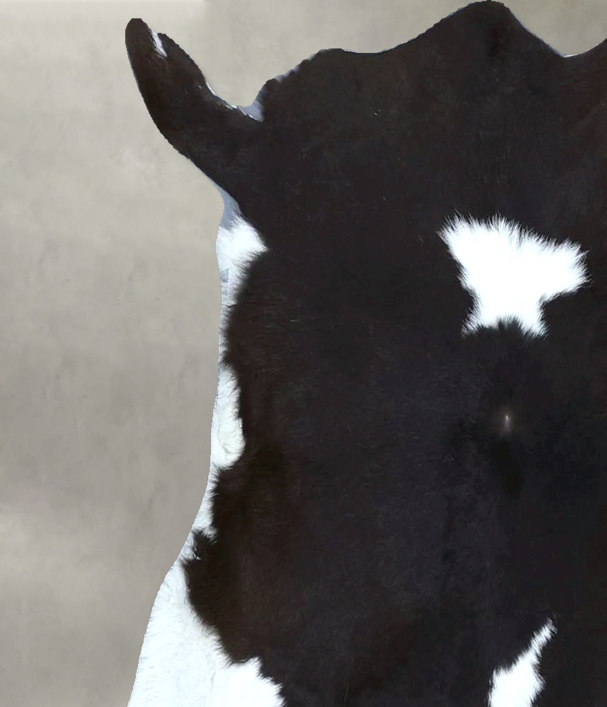 Calfhide Approx 2'x3' #B21832 by Hudson Hides