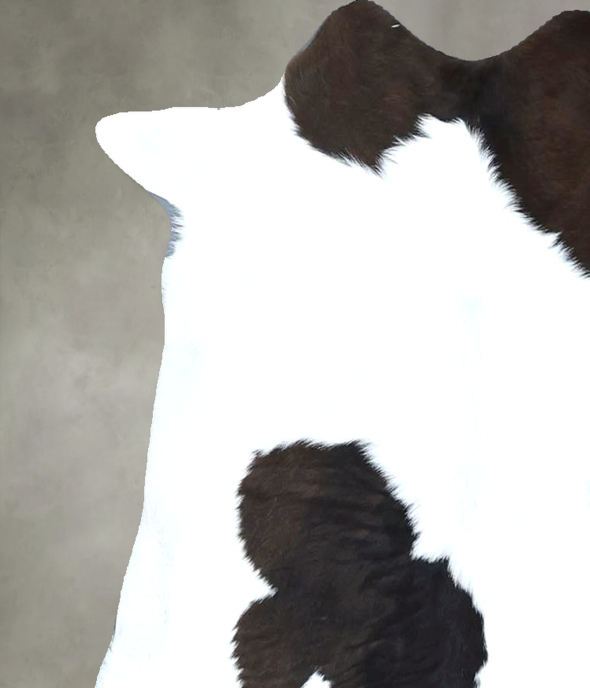 Calfhide Approx 2'x3' #B21834 by Hudson Hides