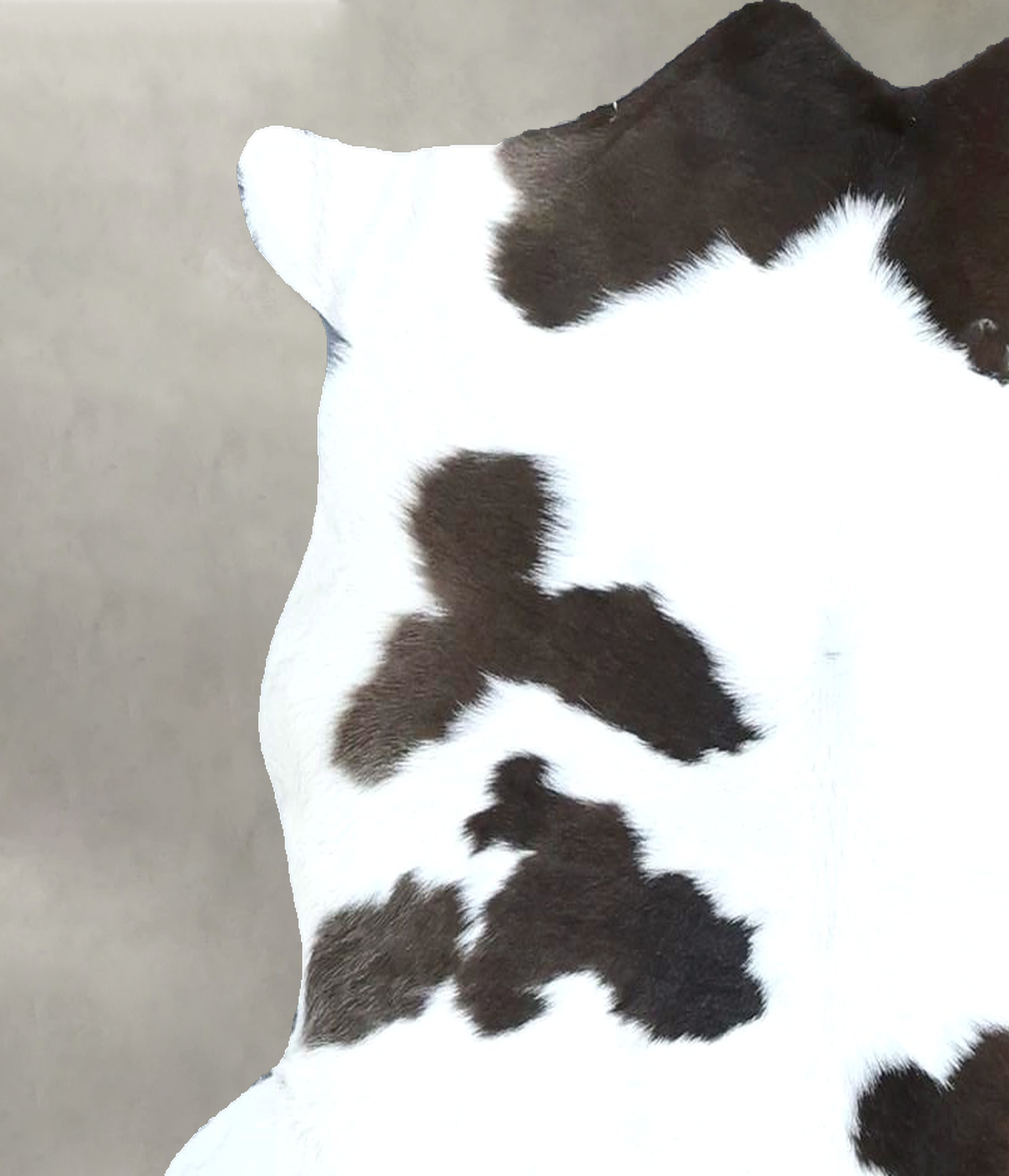 Calfhide Approx 2'x3' #B21838 by Hudson Hides