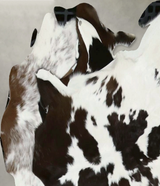 Calfhide Approx 2'x3' #B21840 by Hudson Hides