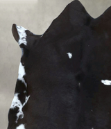 Calfhide Approx 2'x3' #B21855 by Hudson Hides