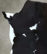 Calfhide Approx 2'x3' #B21856 by Hudson Hides