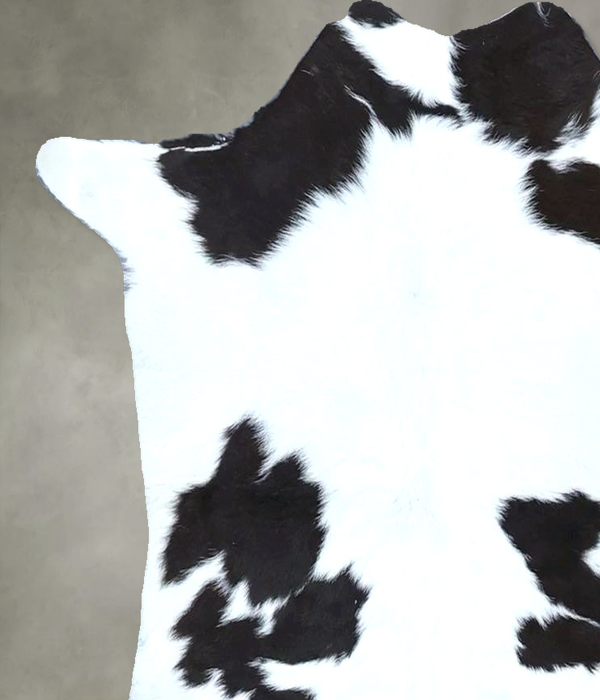 Calfhide Approx 2'x3' #B21857 by Hudson Hides