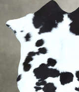 Calfhide Approx 2'x3' #B21858 by Hudson Hides