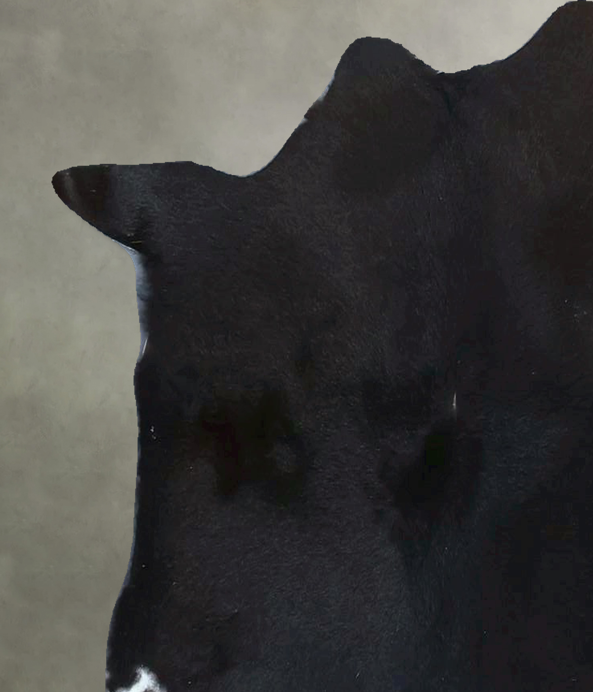 Calfhide Approx 2'x3' #B21861 by Hudson Hides