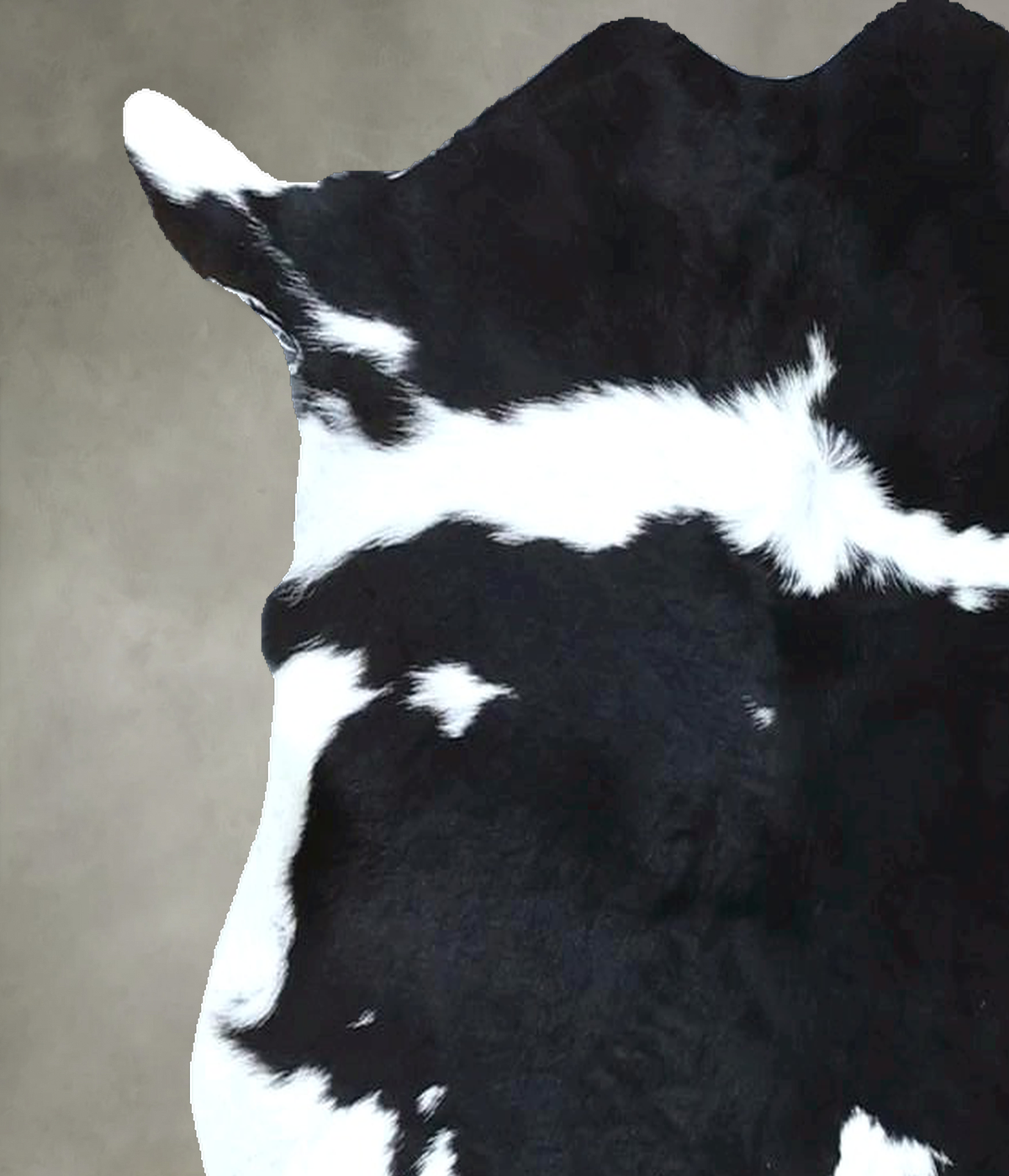 Calfhide Approx 2'x3' #B21865 by Hudson Hides