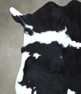 Calfhide Approx 2'x3' #B21865 by Hudson Hides