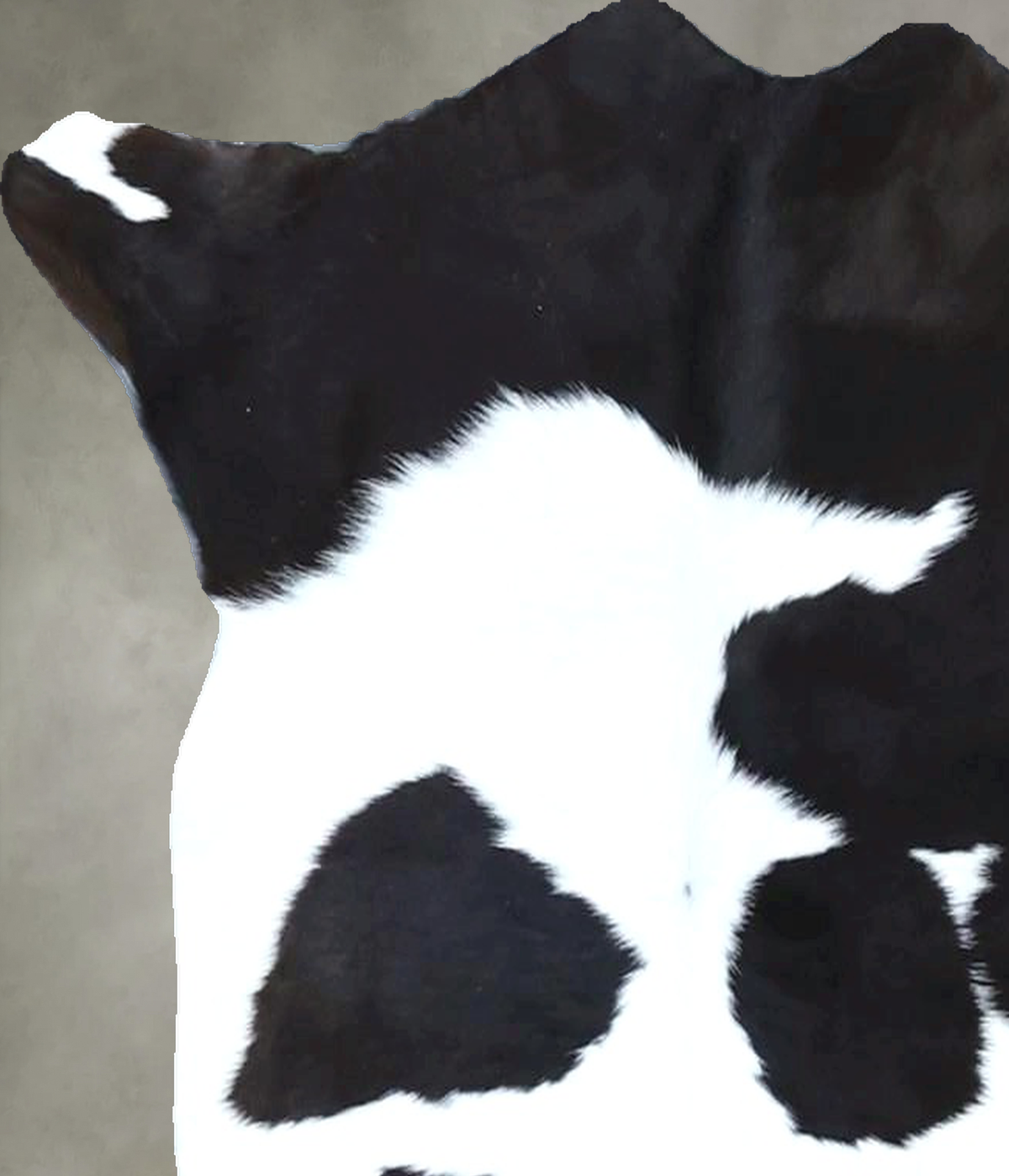 Calfhide Approx 2'x3' #B21866 by Hudson Hides